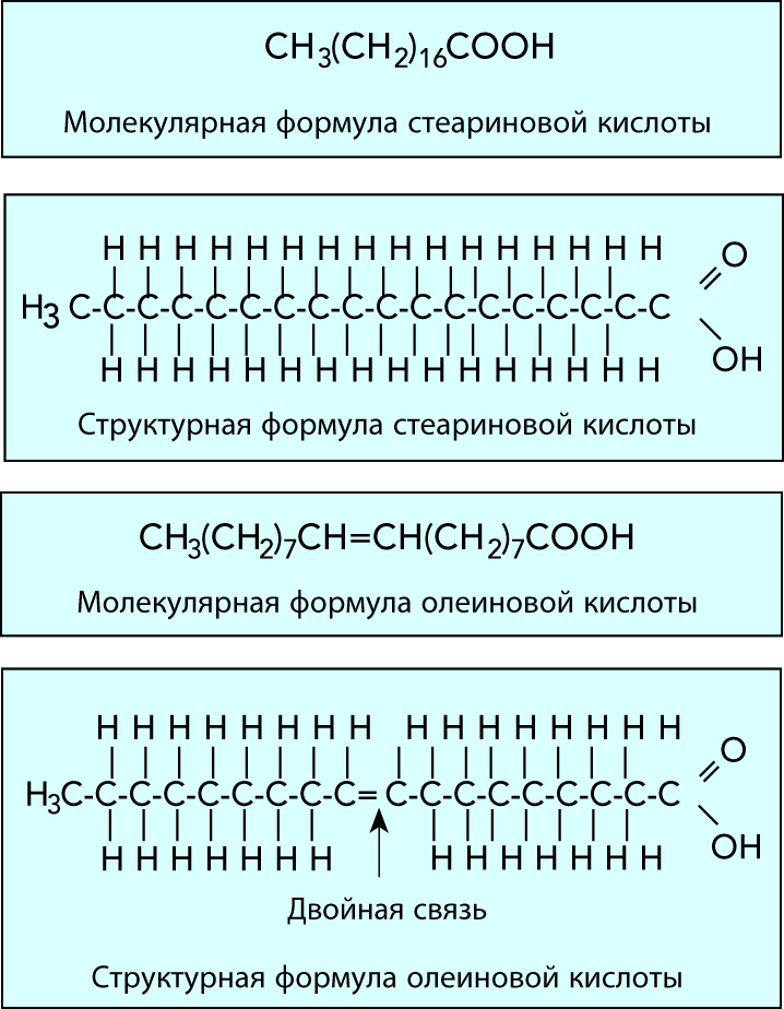 Олеиновая и стеариновая кислота формулы. Стеариновая кислота формула олеиновая. Пальмитиновая кислота структура формула. Олеиновая кислота молекулярная формула. Структура формула стеариновая кислота.
