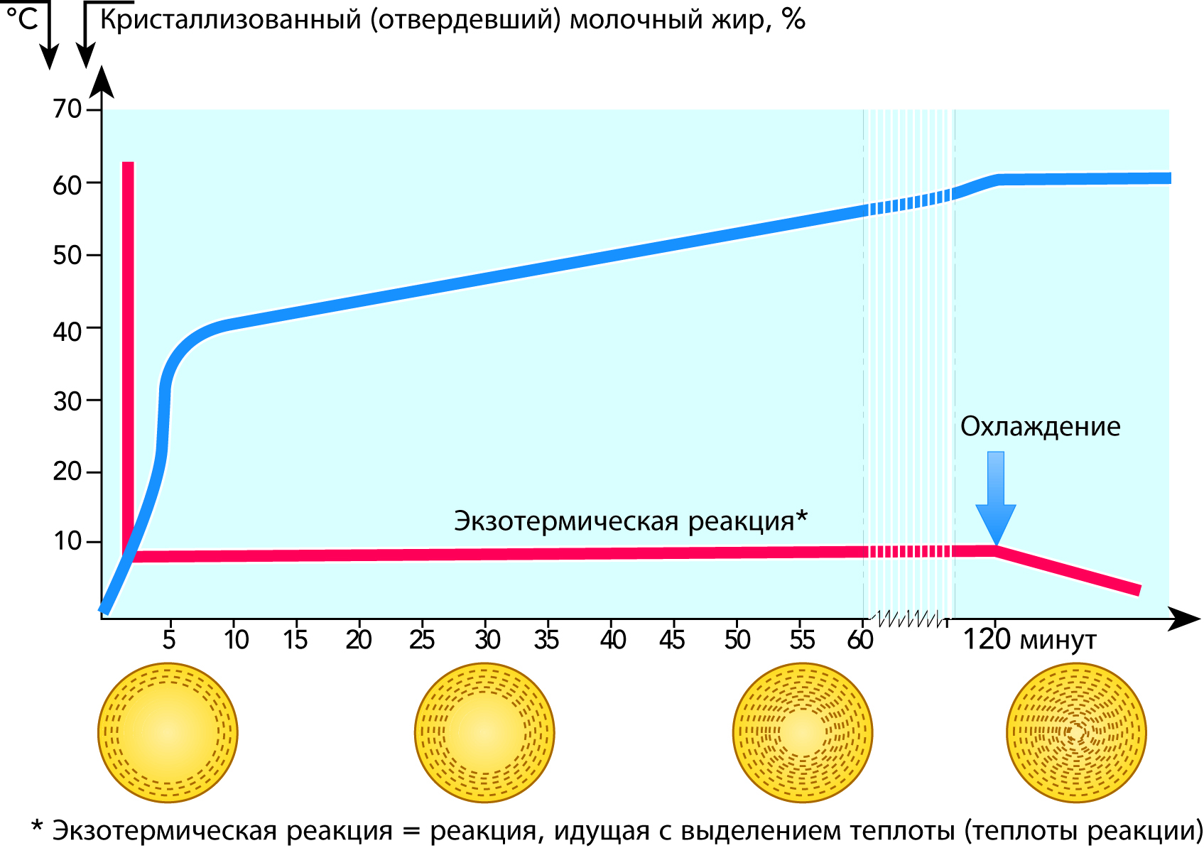 Жир в молоке. Кристаллизация. Реакция охлаждения. Кристаллизация жира. Строение молочного жира.